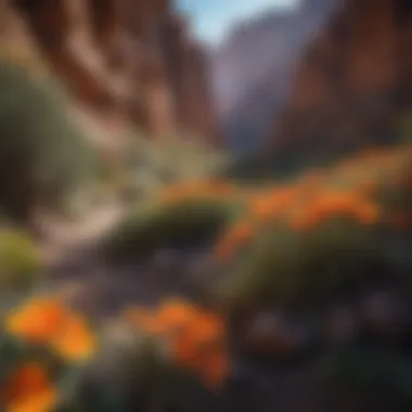 Vibrant Flora in Rugged Terrain Colorful flora thriving in the rugged terrain of Penitente Canyon