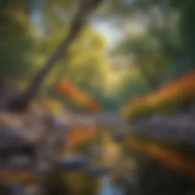 Vivid Encounters: Colorful Wildlife in Sabino Canyon Colorful Wildlife in Sabino Canyon