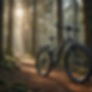 Community impact of class 2 e-bikes