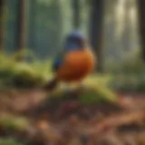 Vibrant Avian Delight Colorful bird species enjoying Hartz Medium Bird Food