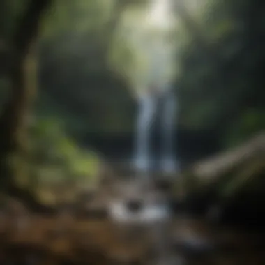 Serene Waterfall in El Yunque A serene waterfall cascading over rocky terrain in the forest