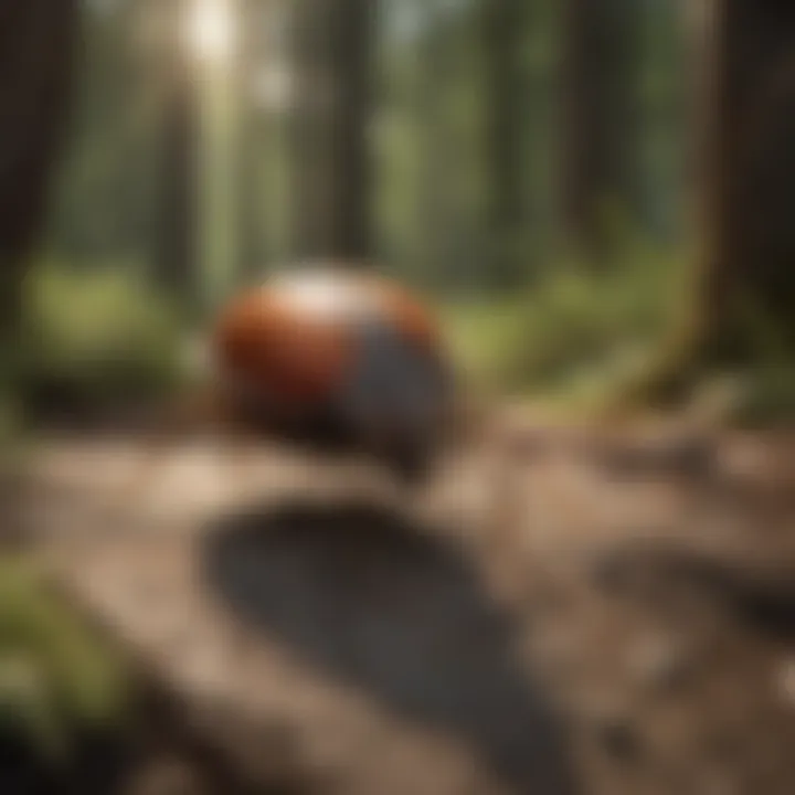 Effective Tick Prevention Techniques Illustration showcasing tick prevention methods in nature