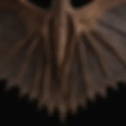 A close-up of a bat's intricate wing structure showcasing its unique anatomy