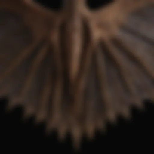A close-up of a bat's intricate wing structure showcasing its unique anatomy