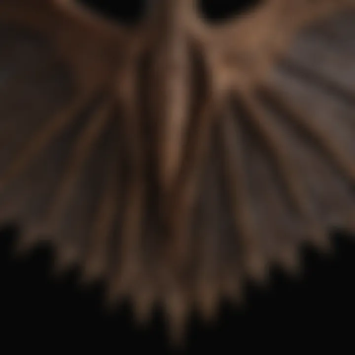 A close-up of a bat's intricate wing structure showcasing its unique anatomy