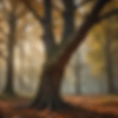 Infographic on oak wilt prevention strategies