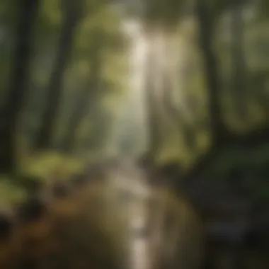 Conservation challenges in Jagged Fork Reservations