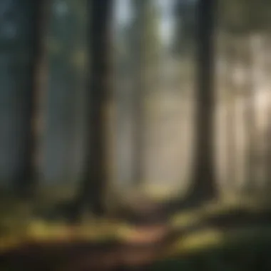 Urgency of Sustainable Forest Management Conservation efforts in the face of climate change impacts