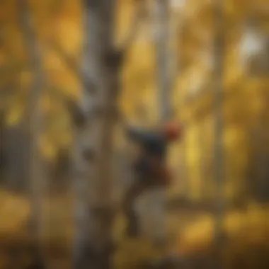 Pruning Technique to Remove Infested Aspen Tree Branch
