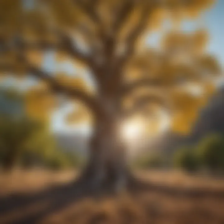 Enchanting Cottonwood Tree in New Mexico