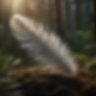 Creative Feathers from Moonlight