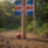 Cricket bat and ball against Puerto Rican flag