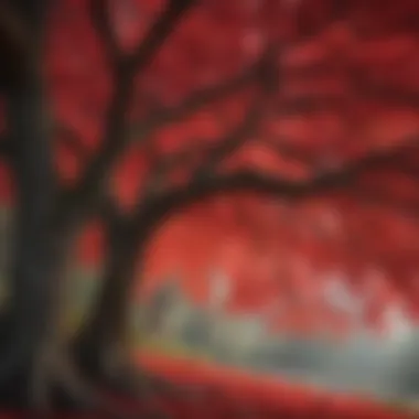 Crimson Canopy: A Red Flowering Tree in Full Bloom