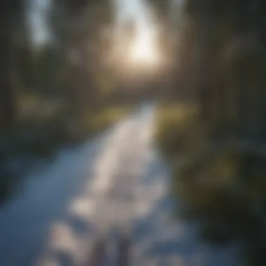 Cross country skis on a peaceful trail in Lutsen