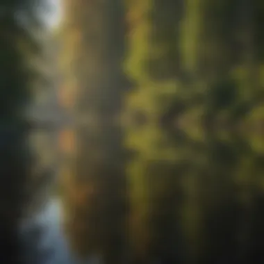 Tranquil Lake Reflections Crystal Clear Lake Reflecting Surrounding Beauty at Hiawatha Bike Trails