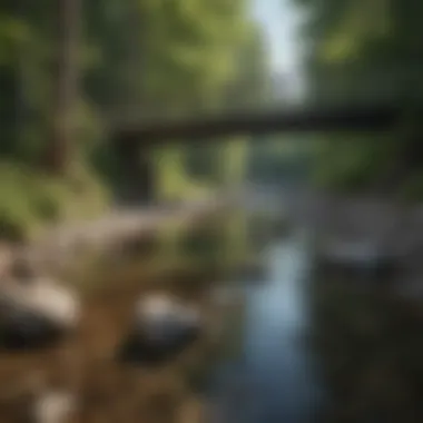 Glistening River Along the Bridge to Nowhere Trail Crystal Clear River Flow