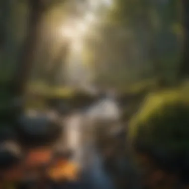 Tranquil Stream Flowing Through the Campsite Crystal Clear Stream in Fallen Leaf Campsite