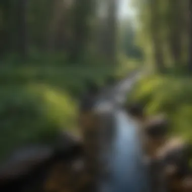 Crystal-clear stream meandering through the lush landscape of Grand Marais Campground