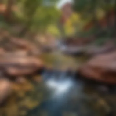 Pristine Waters of Slide Rock Oasis Crystal Clear Waters of Slide Rock in Sedona