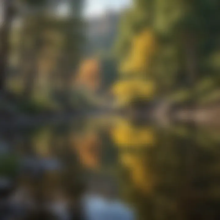 Serene Reflections at Crystal Springs Serene Reflections at Crystal Springs