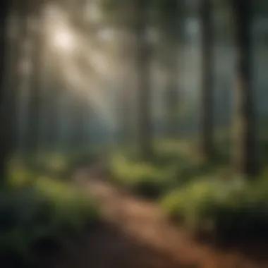 Fostering Biodiversity Through Cultivation Stations Diverse ecosystem in sustainable forestry
