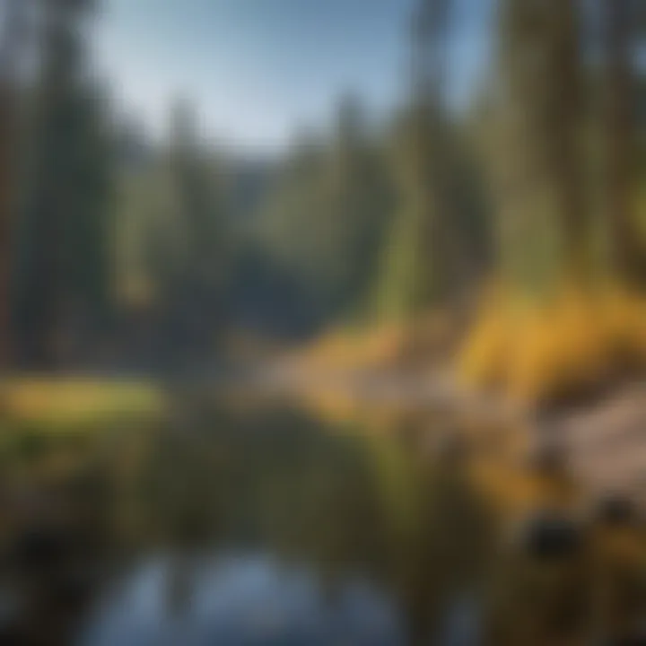 Cultural Exploration Cultural Exploration in the Vibrant Spring Season