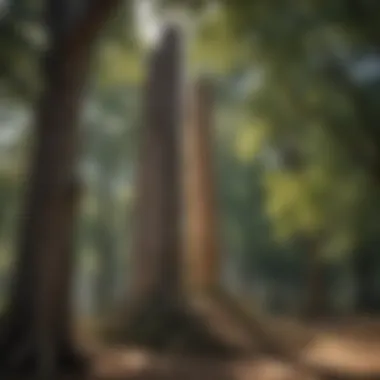 Cultural Legacy Central Monument Shreveport