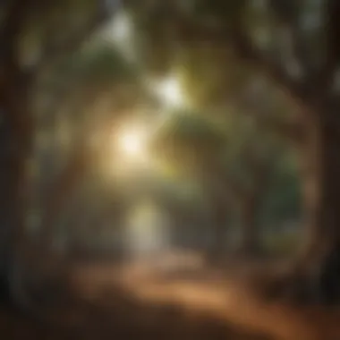 Cultural Symbolism of Fig Trees