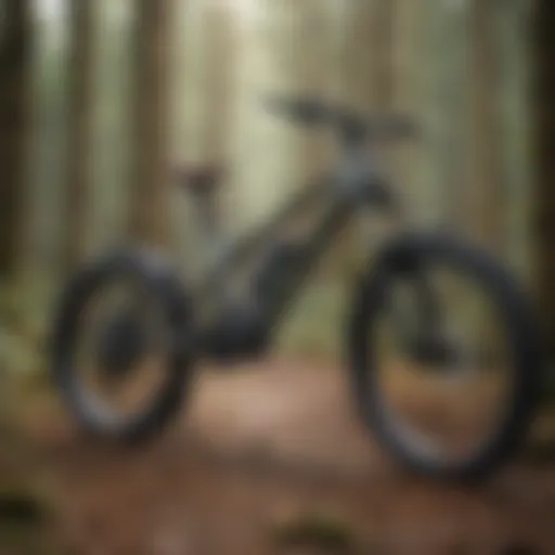 Innovative technology of class 2 e-bikes