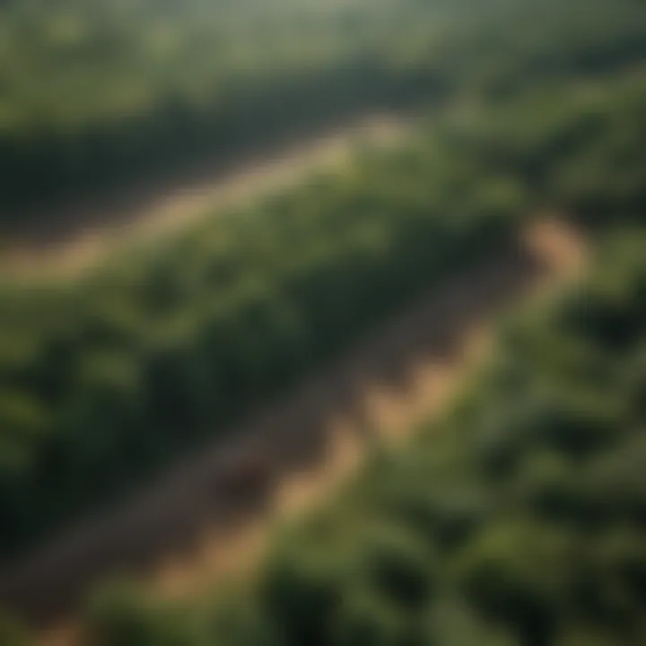 Cutting-Edge Remote Sensing Technology in Agriculture