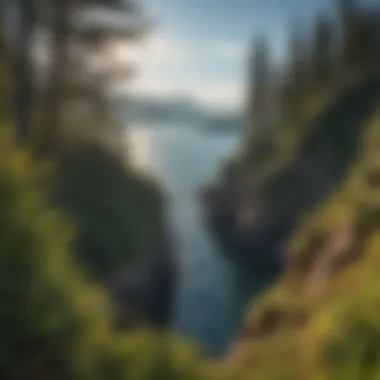 Rugged Coastal View on the Olympic Peninsula Breathtaking view of the rugged coastline from a scenic overlook