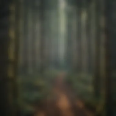 Intricacy of Invoice Abbreviations Illustration depicting an intricate web of interlinked abbreviations