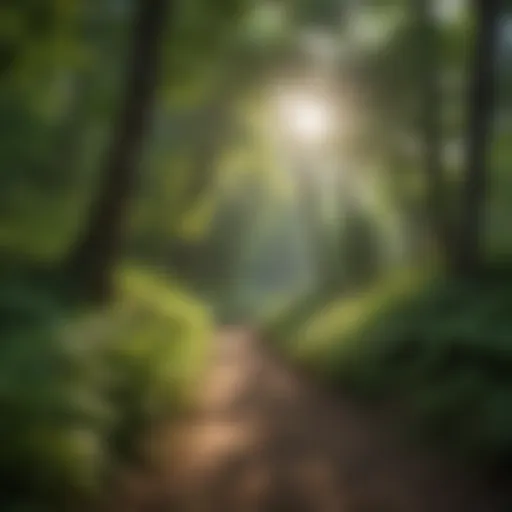 Lush greenery along a hiking trail by Deep Creek Lake