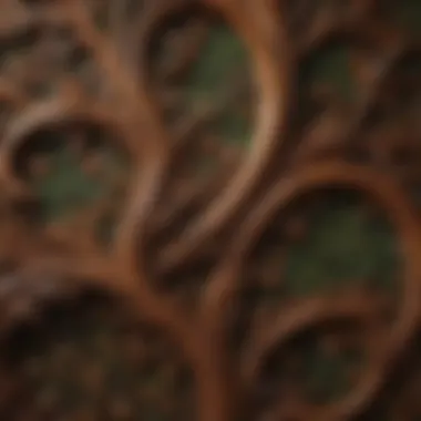 Intricate Details of DeGraaf Interiors Cascade Close-up of the intricate patterns on DeGraaf Interiors Cascade