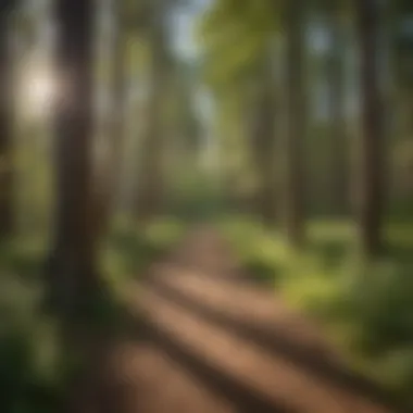 Navigating Administrative Roles in Denver's Parks and Recreation Department Denver Parks and Recreation Administrative Opportunities