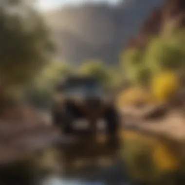 Oasis Serenity: Desert Quad Exploration Desert Oasis Quad Exploration