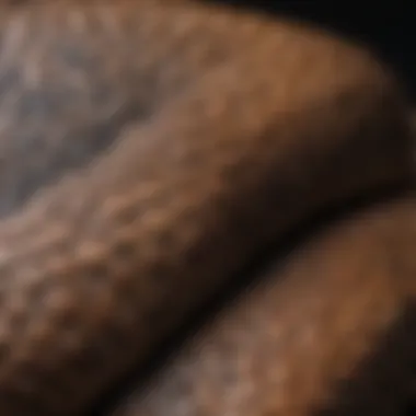 Detailed close-up of rattlesnake skin used in glove construction