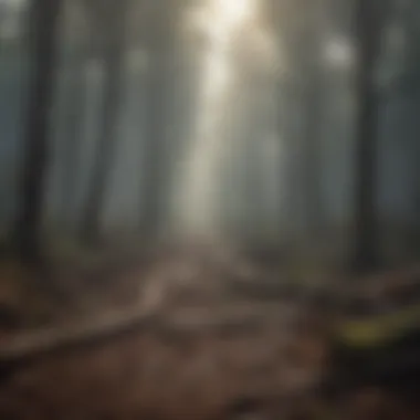 Unveiling the Grim Consequences of Deforestation Devastating Effects of Deforestation