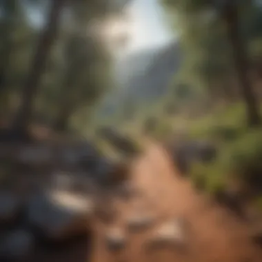 Challenging trail showcasing Prescott's rugged landscape