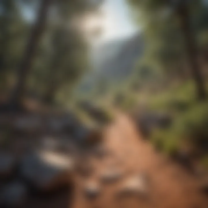 Challenging trail showcasing Prescott's rugged landscape