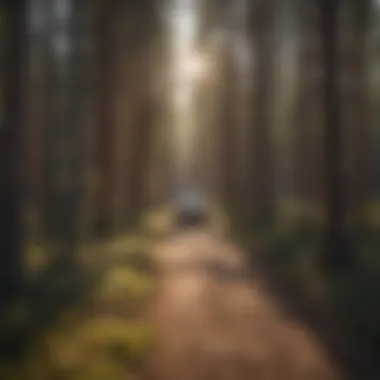 Collaborative Student Community Diverse group of students working together in Laramie