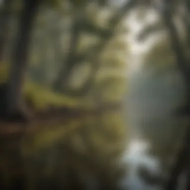 Diverse Wildlife at Lake Northfork