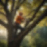 Donado Tree Service expertly pruning tree branches