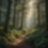 A lush forest landscape showcasing biodiversity