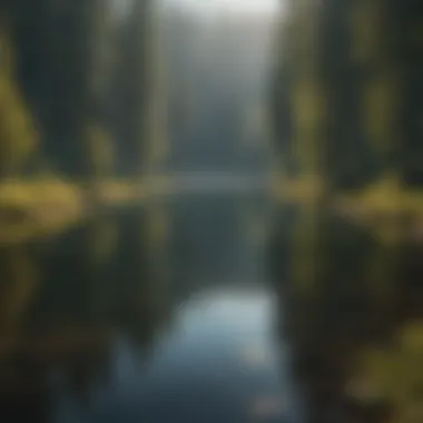 Aerial view of a drone flying over a serene lake