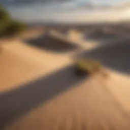 Expansive view of the Dunes National Park showcasing its unique sand formations and contrasting landscapes.