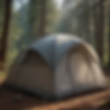 Premium Rainfly Replacement Durable rainfly replacement for Coleman River Gorge 6 Person Tent