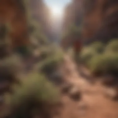 Hikers navigating a challenging trail in the Grand Canyon