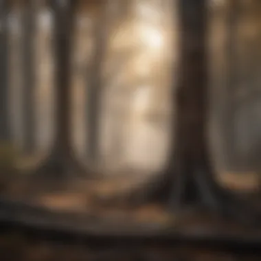 Dying Trees Due to Air Pollution Dying Trees Due to Air Pollution