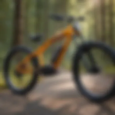 Artistry and Innovation in E-Bike Designs E-Bike design features infographic